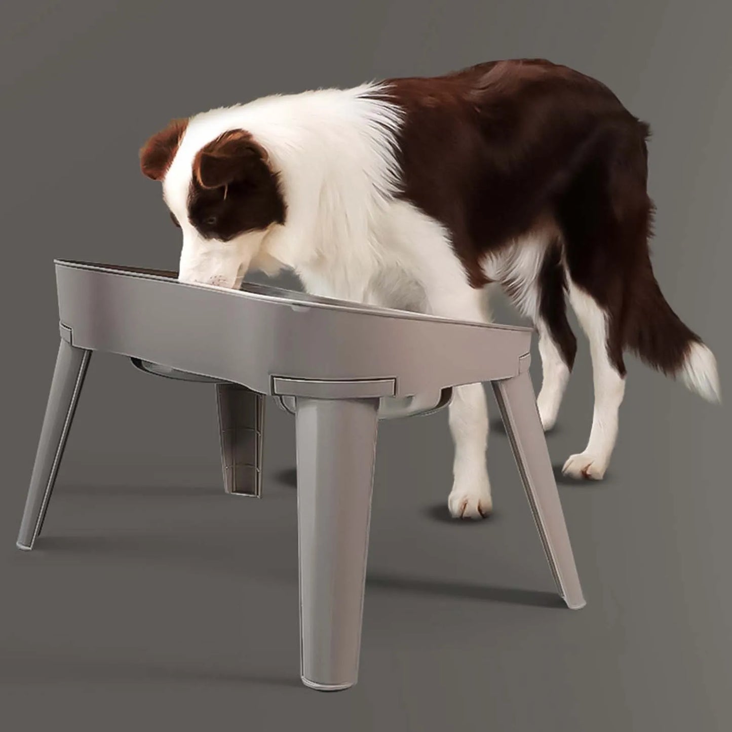 Raised Stand Elevated Dog Feeder, Non-Slip and No Spill Design Bowl, Pet Supplies Suitable for Improve Posture and Comfort ,-US