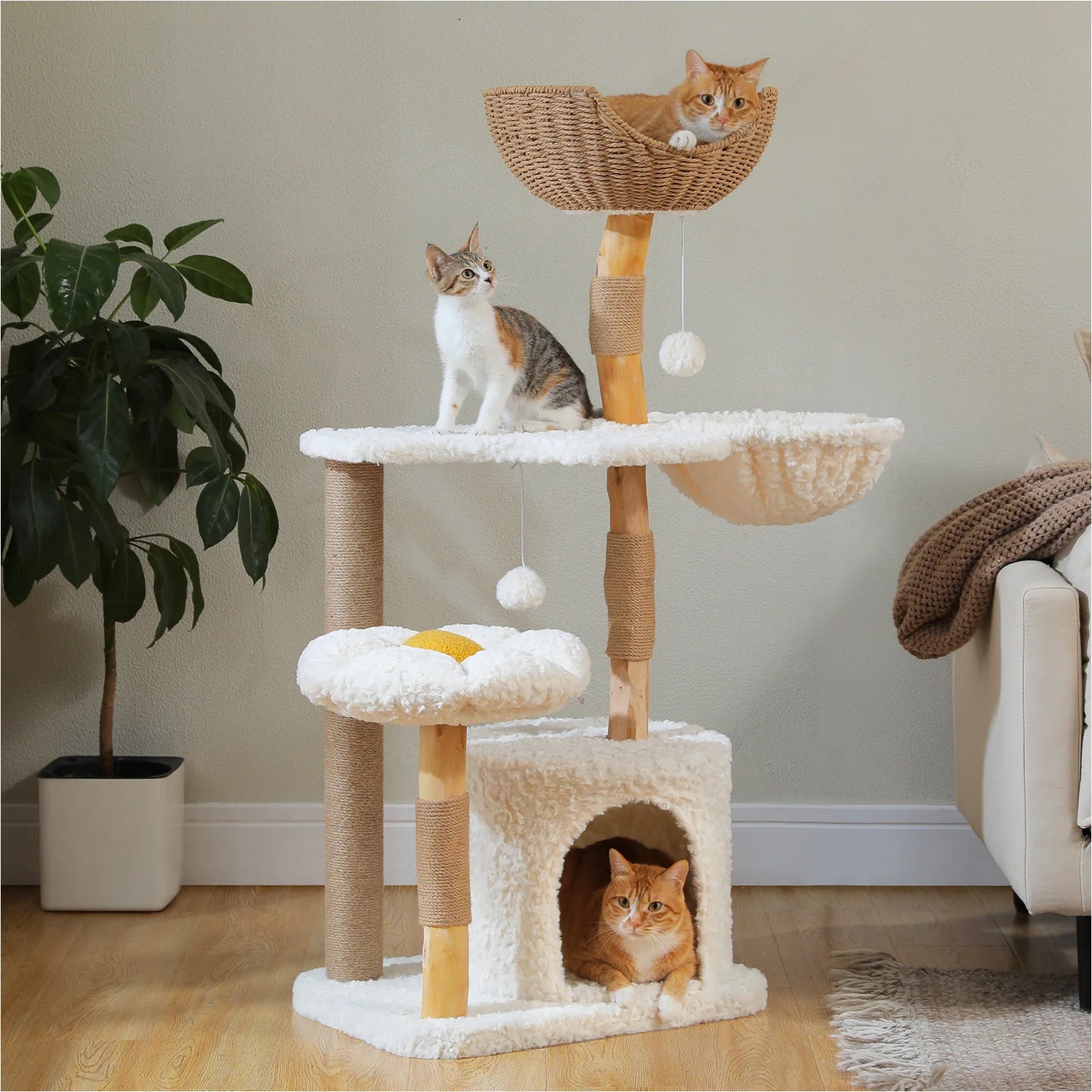 Solid Wood Cat Tree, Modern Cat Tower with Spacious Cat Condo, Flower Perches, Fun Pompom, Double Comfort Perfect for Indoor Kittens