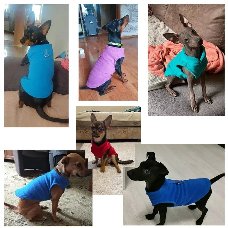 Warm Fleece Dogs Clothes, Pet Dog Jacket Vest With D-Ring For Small Dog ,Cats Clothing, French Bulldog , Chihuahua Coat
