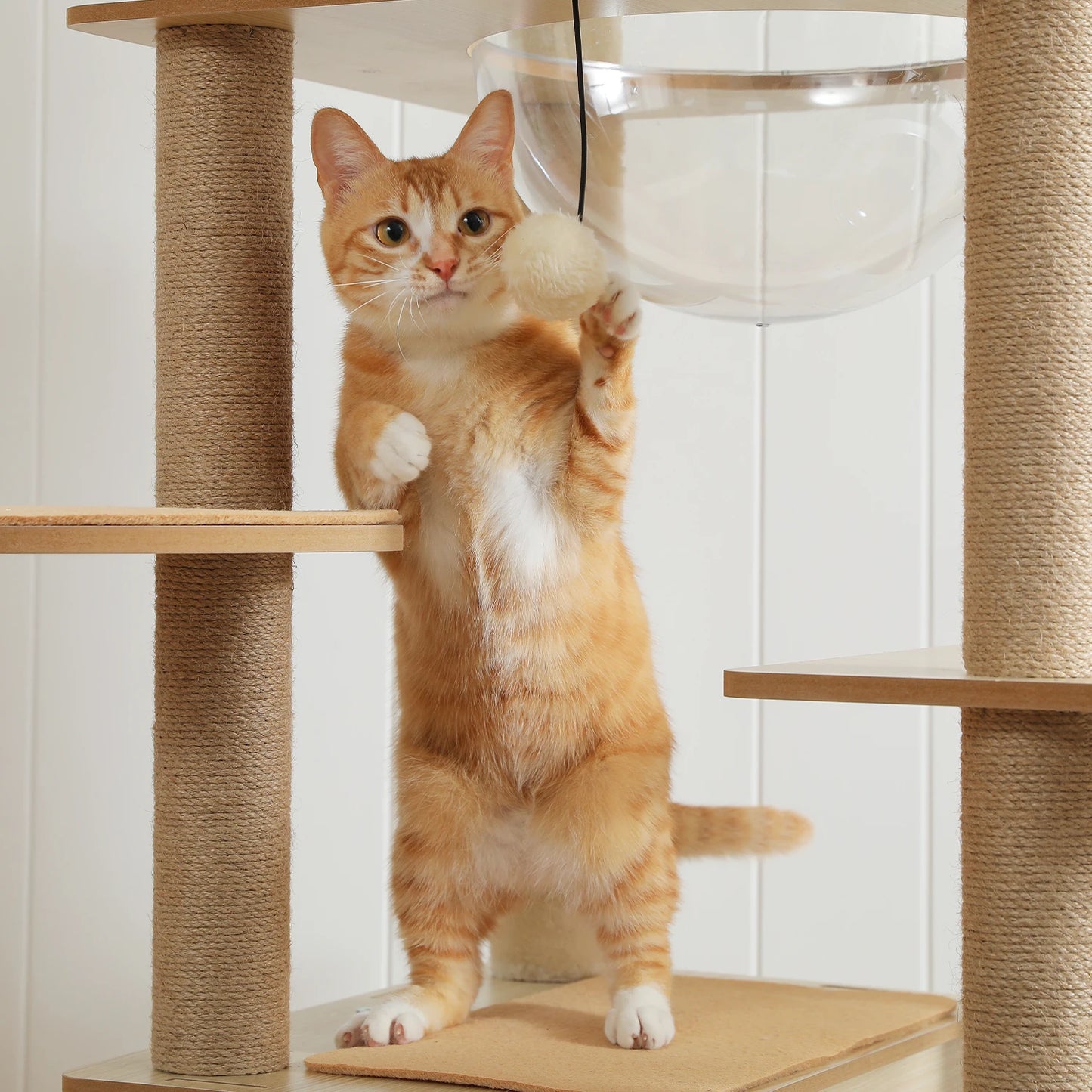 Multi-Level Cat Tree for Indoor Wood Cat , Tower with Scratching Posts Spacious Condo, Hammock Top Perch Cat Scratcher