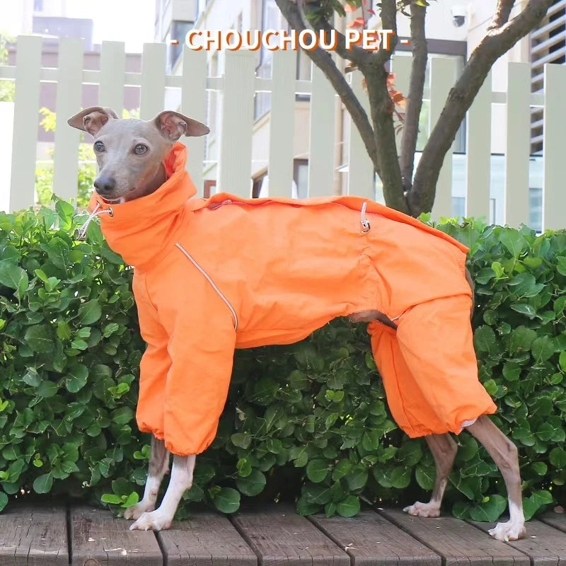 Italian Greyhound Raincoat, Autumn and Winter Outdoor Pet Jacket ,Whippet Windproof and Rainproof Dog Clothes