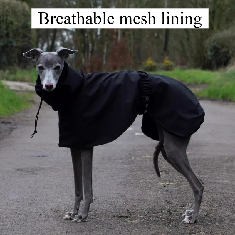 Waterproof Dog Raincoat , Large Size Luxury Whippet Greyhound Dog Raincoats Jacket, Doberman, Pinscher, Raincoat Outdoor Walking