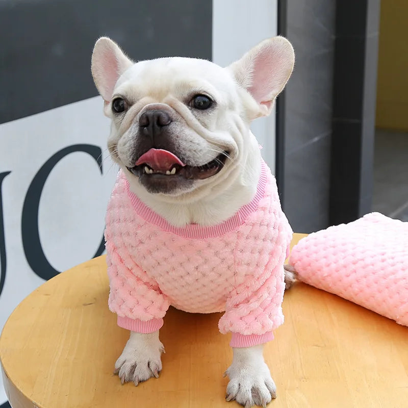 Winter Pet Dog Clothes,  Bear Print Dog Hoodie,  Soft Warm Puppy Sweatshirt , Chihuahua, French Bulldog, Coat Jacket Fashion, Dog Costume