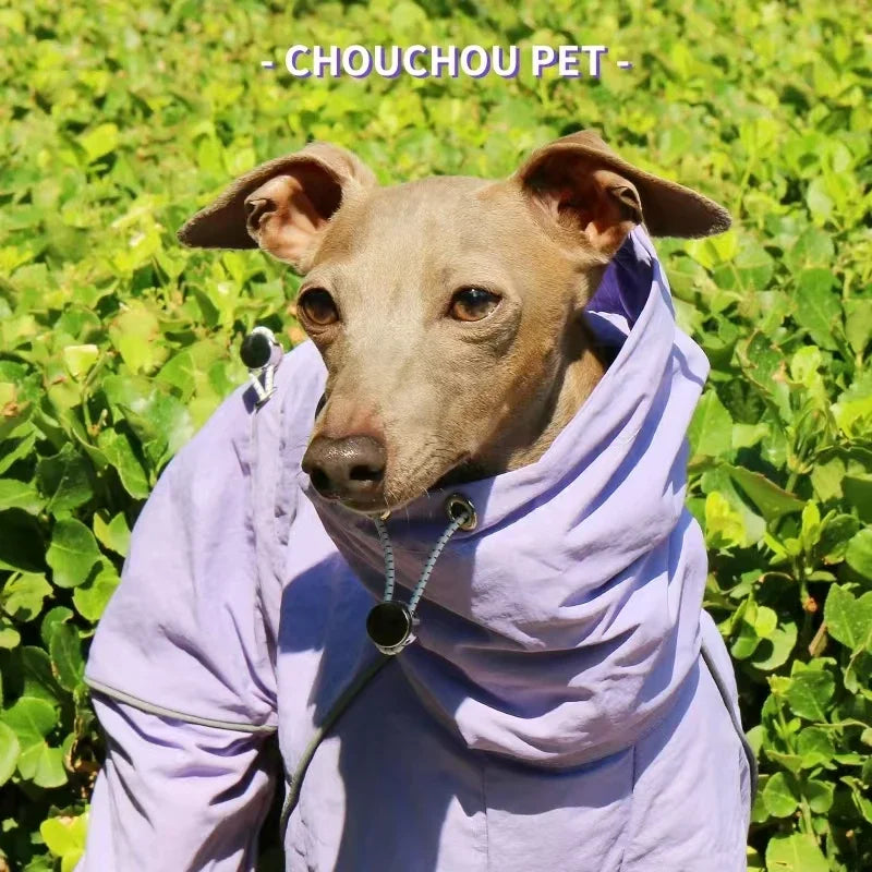 Italian Greyhound Raincoat, Autumn and Winter Outdoor Pet Jacket ,Whippet Windproof and Rainproof Dog Clothes
