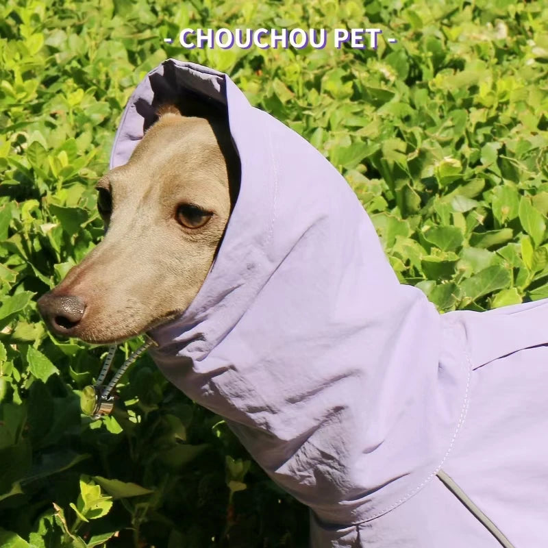 Italian Greyhound Raincoat, Autumn and Winter Outdoor Pet Jacket ,Whippet Windproof and Rainproof Dog Clothes