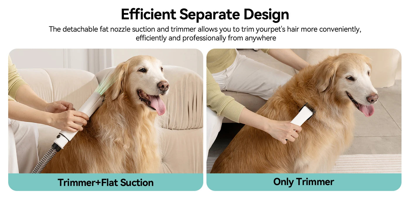 Amicura P1 Vacuum Cleaner & Hair Dryer 15kpa, Pet Grooming Set Adjustable Speed and Temperature, 5 Proven Care Tools Dog Clipper