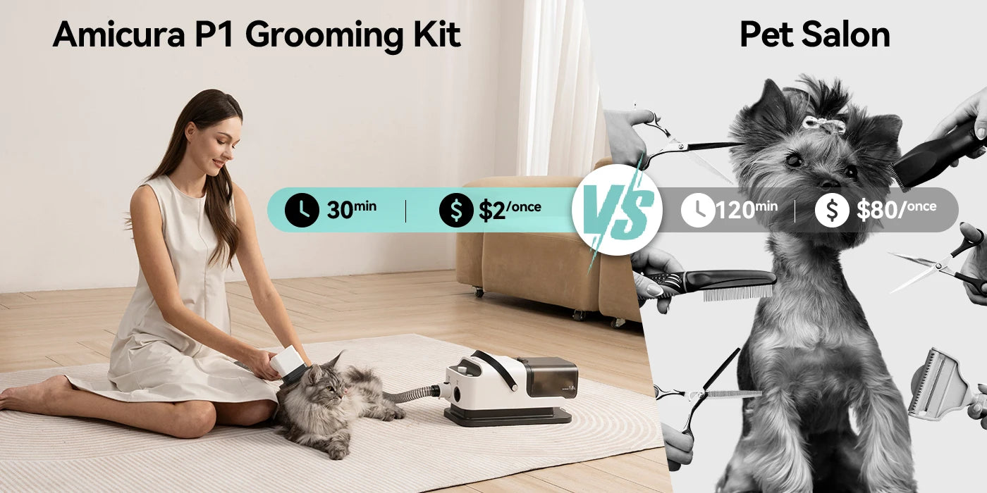 Amicura P1 Vacuum Cleaner & Hair Dryer 15kpa, Pet Grooming Set Adjustable Speed and Temperature, 5 Proven Care Tools Dog Clipper