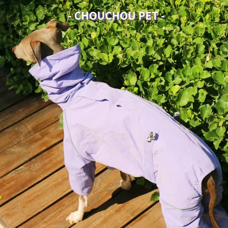 Italian Greyhound Raincoat, Autumn and Winter Outdoor Pet Jacket ,Whippet Windproof and Rainproof Dog Clothes