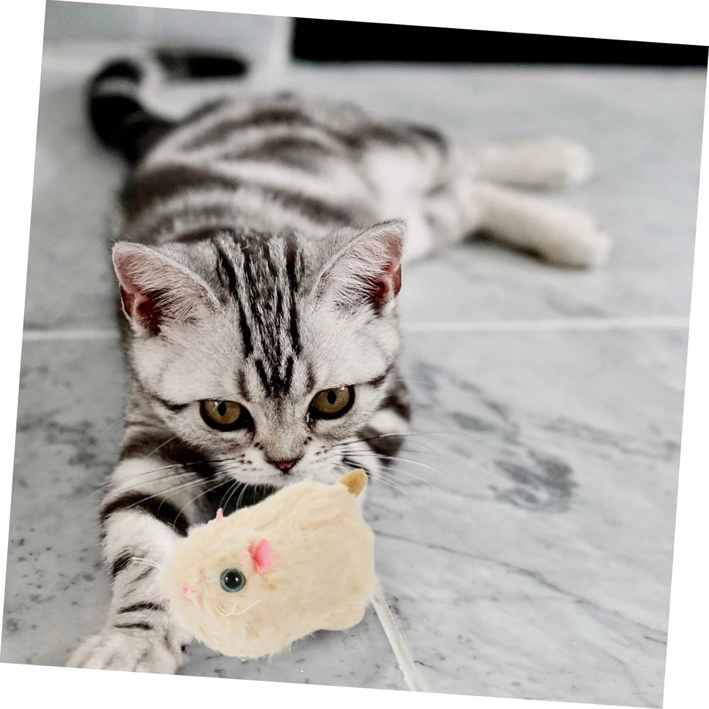 Soft and Exciting Plush Rabbit Cat Toy - Stimulating Indoor Mini Sports Ball for Cats, Dogs, and Children - Fun Interactive Ride