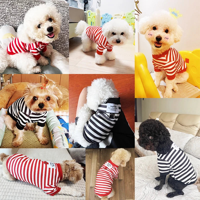Winter Dog Clothes , Cute Cartoon Dog Warm Hoodie, Chihuahua, French Bulldog, Sweatshirt Puppy Outfit, Coat Pet, Dog Costume