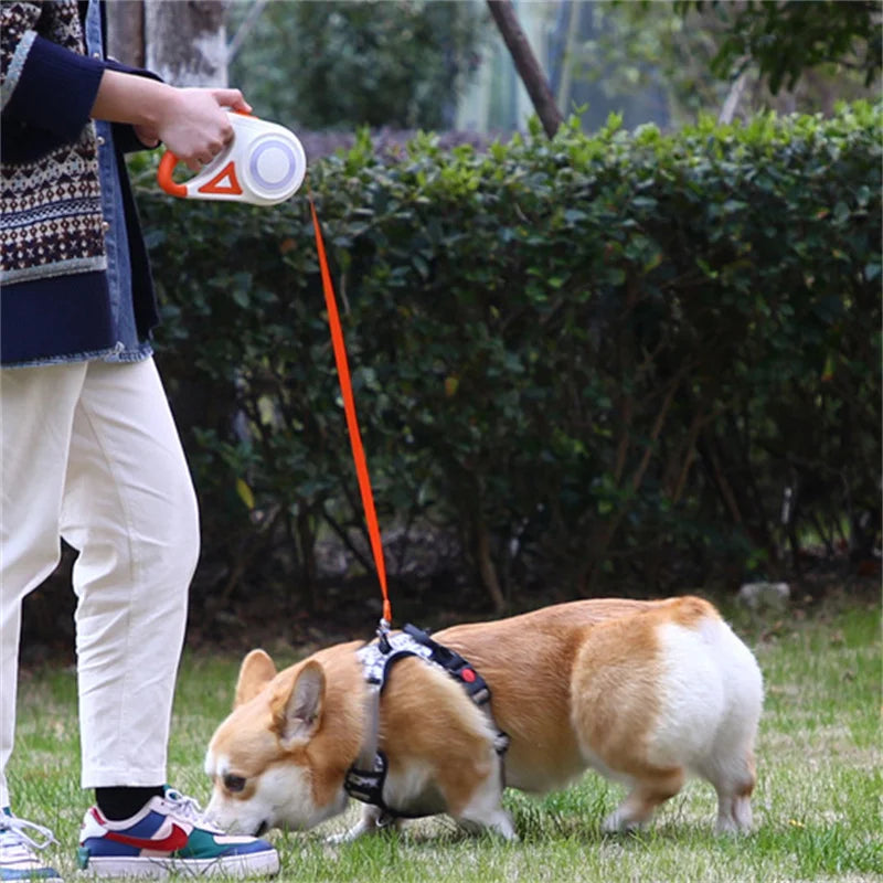 5M Automatic Retractable Dog Leash with Led Flashlight, Durable Nylon Lead for Pet Dogs , Adjustable Walking Running Rope