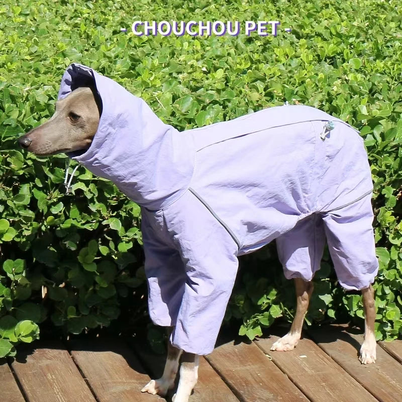 Italian Greyhound Raincoat, Autumn and Winter Outdoor Pet Jacket ,Whippet Windproof and Rainproof Dog Clothes