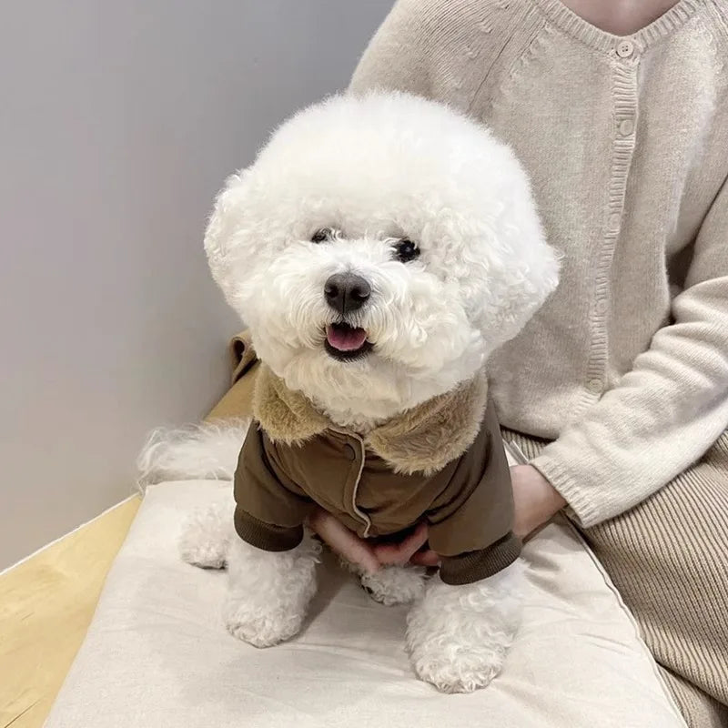 Winter Dog Clothes Luxury Bear Print Fur Collar Windproof Jacket, Chihuahua, Yorkies ,Warm Coat Puppy Outfit ,Clothing Pet Costume