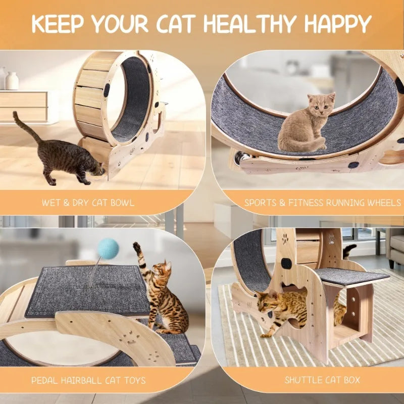 Wooden cat fitness wheel, cat running and walking wheel indoor cat furniture ,cat toys pet fitness equipment