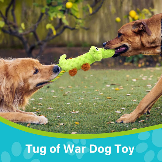Pets Dog Squeaky Toy, 2 Pack, Tug of War Dog Toys for Dogs, Interactive Plush Puppy Chew Toy, Plush Sound Squeak Toys Pet Supplies