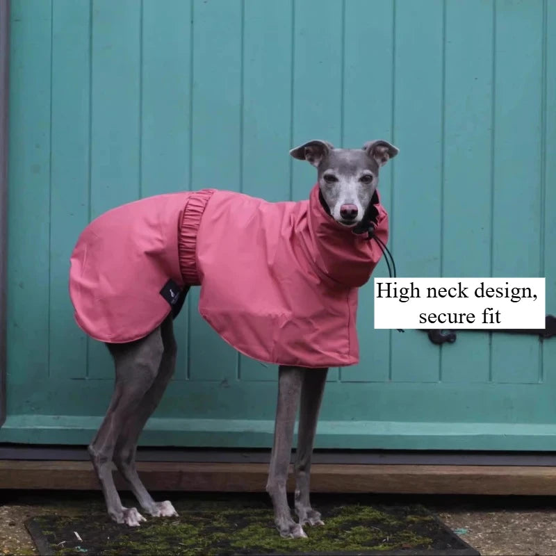 Waterproof Dog Raincoat , Large Size Luxury Whippet Greyhound Dog Raincoats Jacket, Doberman, Pinscher, Raincoat Outdoor Walking