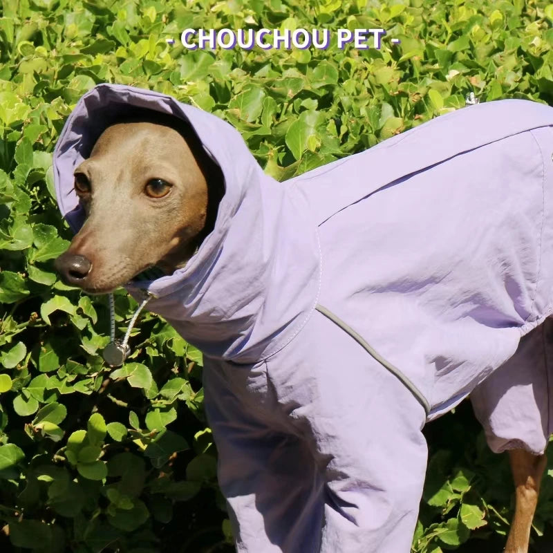 Italian Greyhound Raincoat, Autumn and Winter Outdoor Pet Jacket ,Whippet Windproof and Rainproof Dog Clothes