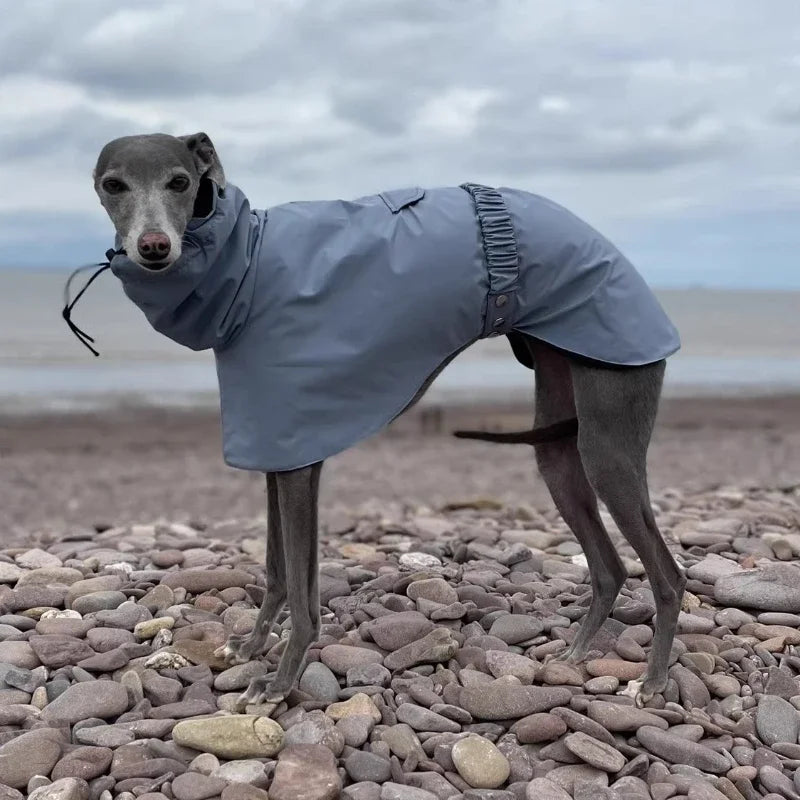 Waterproof Dog Raincoat , Large Size Luxury Whippet Greyhound Dog Raincoats Jacket, Doberman, Pinscher, Raincoat Outdoor Walking
