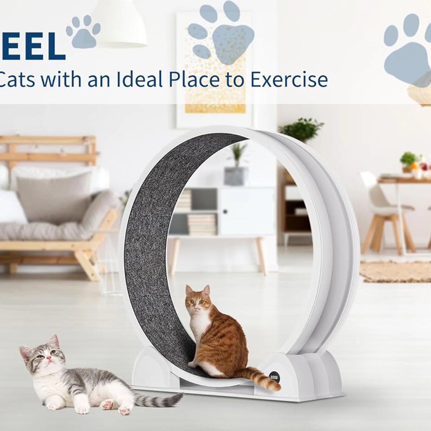 Cat Exercise Wheel for Indoor Cats, ABS Cat Wheel Exerciser Quiet Cats Treadmill with Pedometer, Small Animal Running Wheels