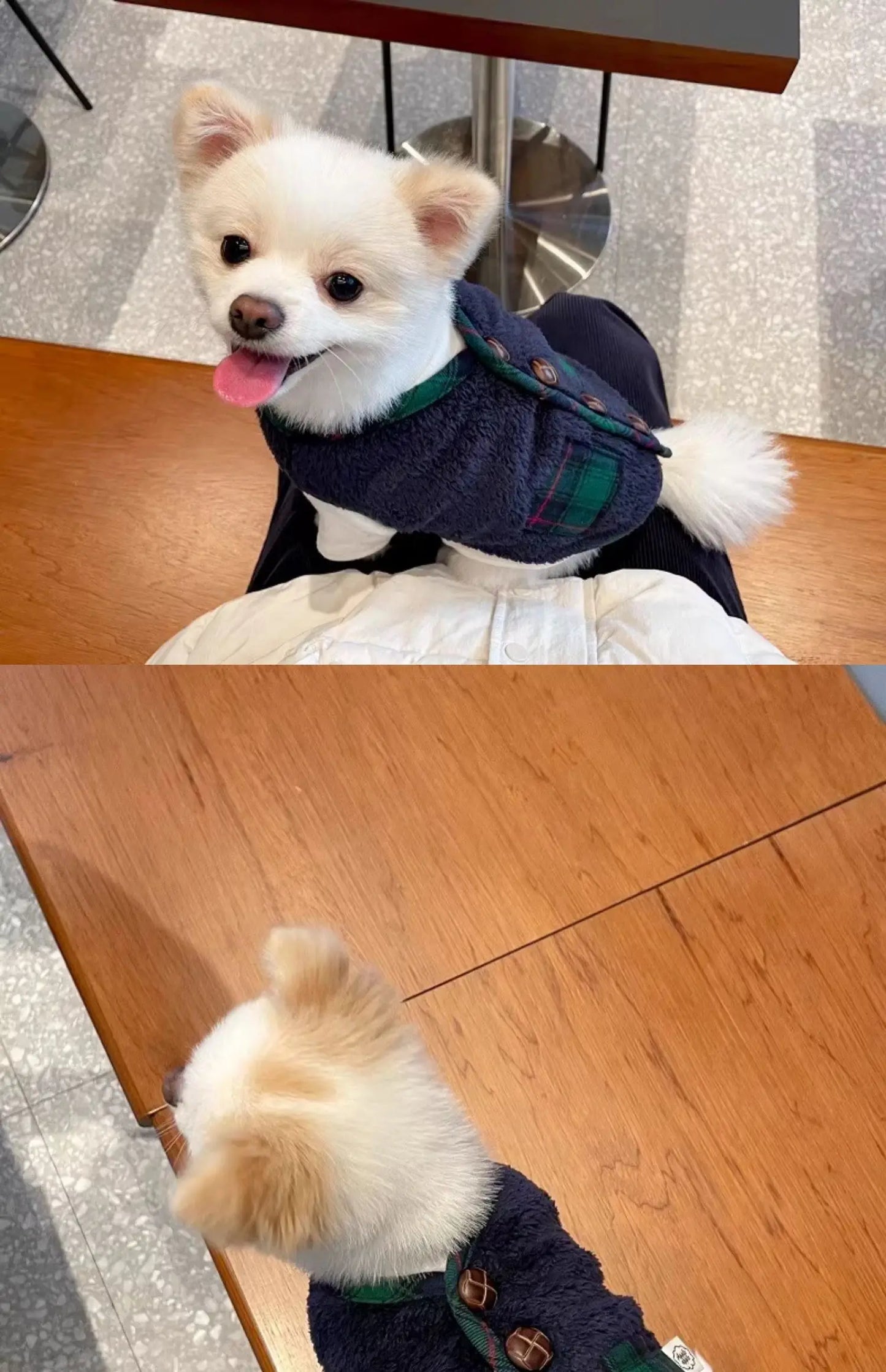 Warm Plaid Sweater for Dogs And Autumn Winter Pet Clothes ,Teddy Bichon, Pomeranian, Schnauzer, Little Dog Clothes