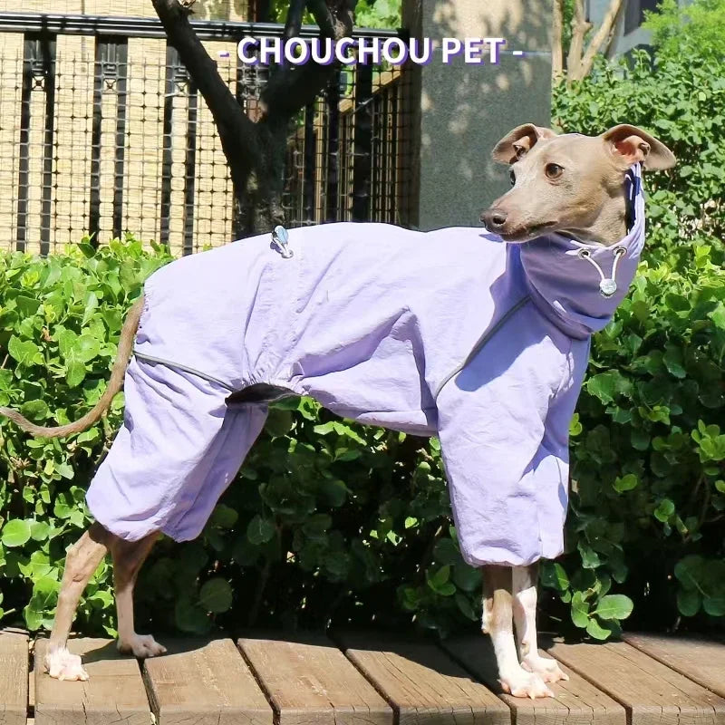 Italian Greyhound Raincoat, Autumn and Winter Outdoor Pet Jacket ,Whippet Windproof and Rainproof Dog Clothes