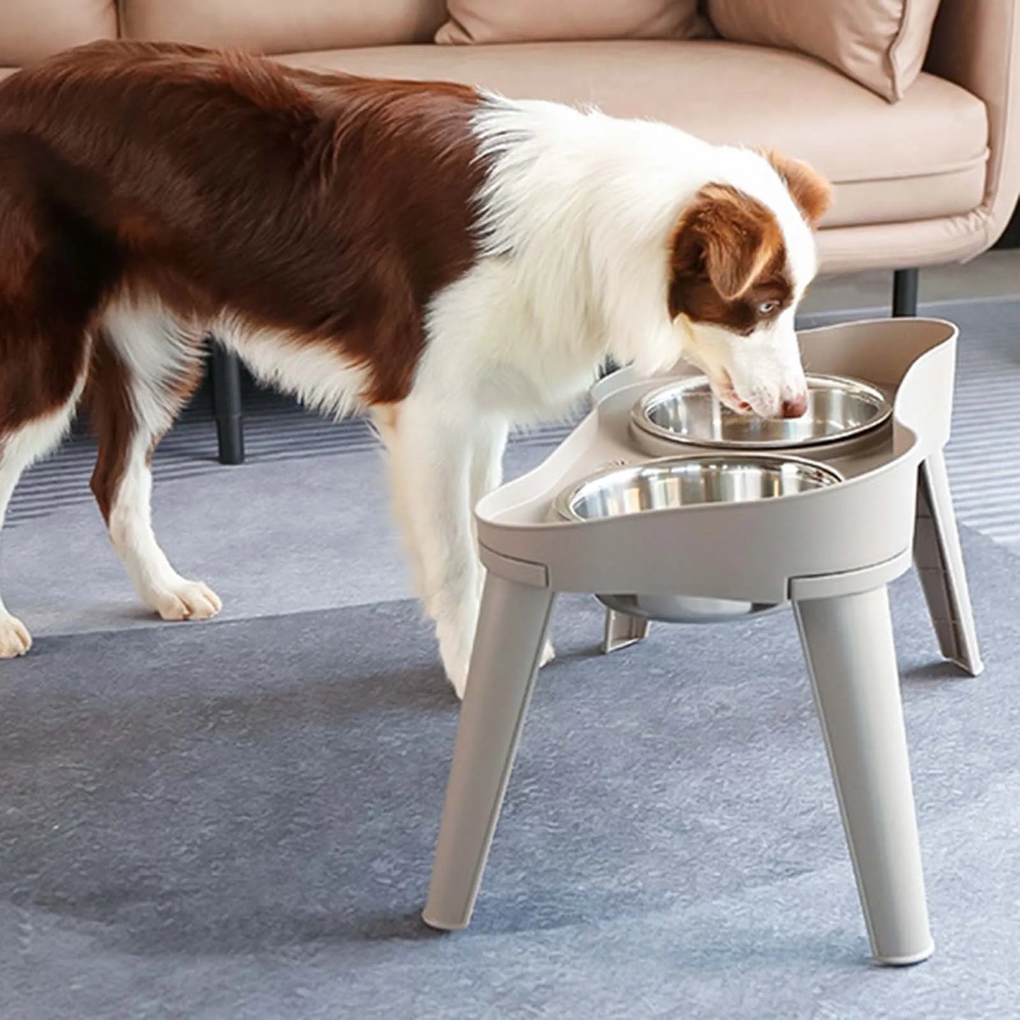 Raised Stand Elevated Dog Feeder, Non-Slip and No Spill Design Bowl, Pet Supplies Suitable for Improve Posture and Comfort ,-US