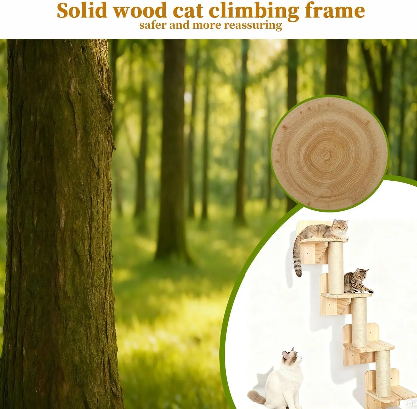 Cat Wall Shelves & Climber for Kittens Solid Wood cat ClimFrame – 4-Level Wall Mounted Cat Tree with Natural Sisal Pads