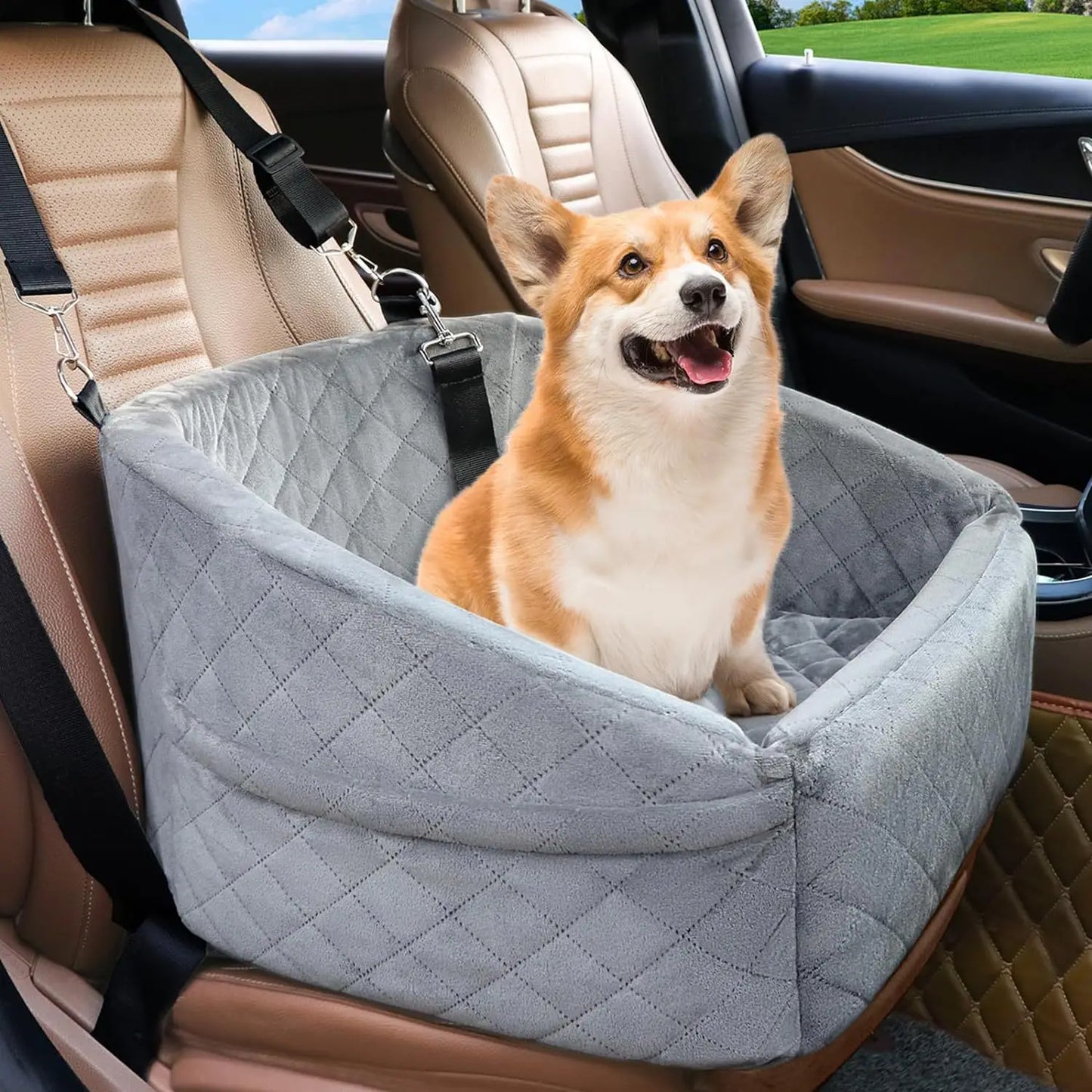 Popular Pet Car Seat, Removable Washable, Small Medium Dogs, Pet Travel Safety Seat