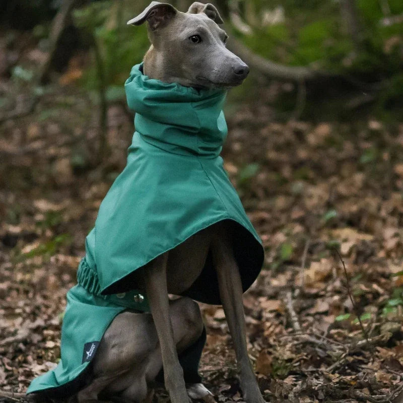 Waterproof Dog Raincoat , Large Size Luxury Whippet Greyhound Dog Raincoats Jacket, Doberman, Pinscher, Raincoat Outdoor Walking