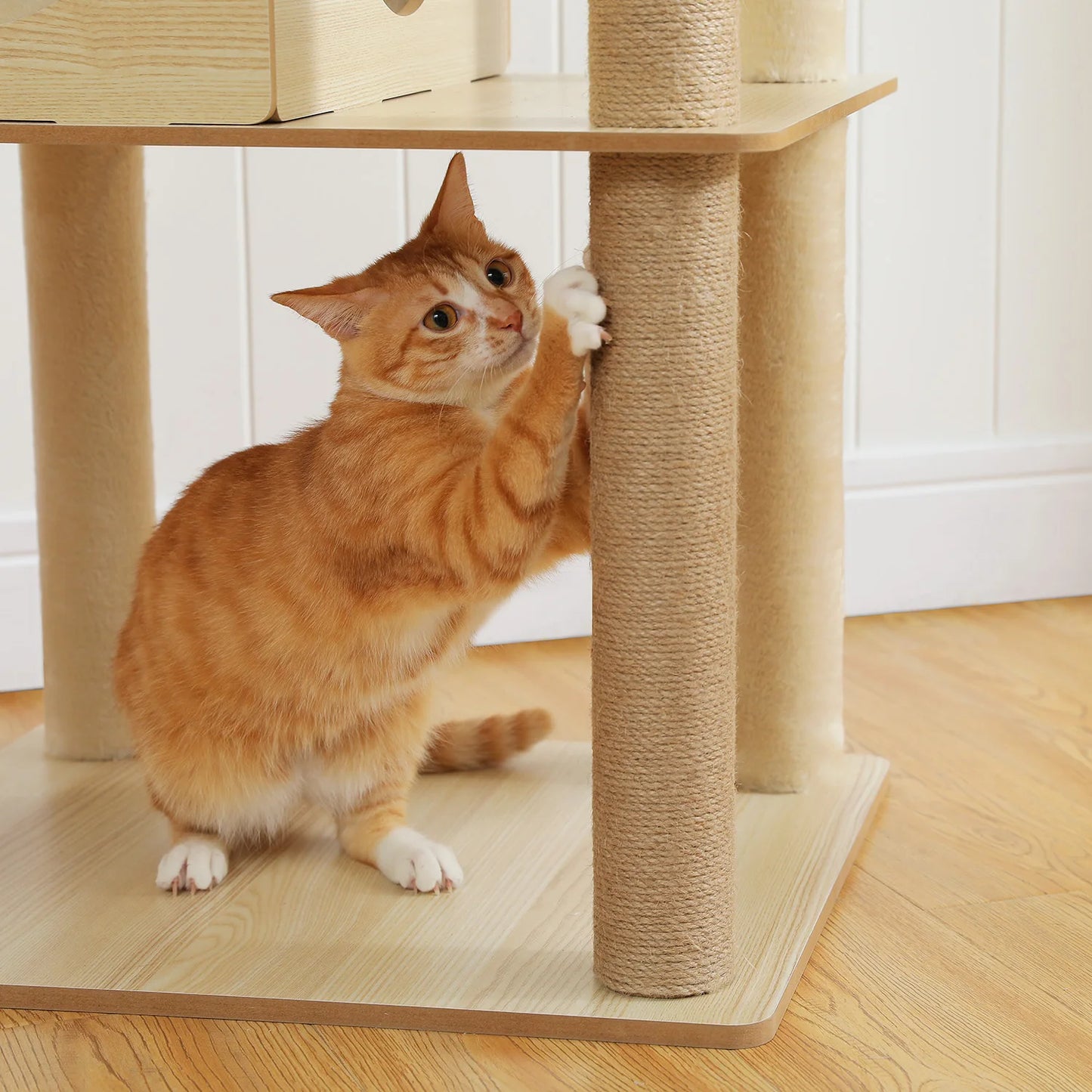 Multi-Level Cat Tree for Indoor Wood Cat , Tower with Scratching Posts Spacious Condo, Hammock Top Perch Cat Scratcher