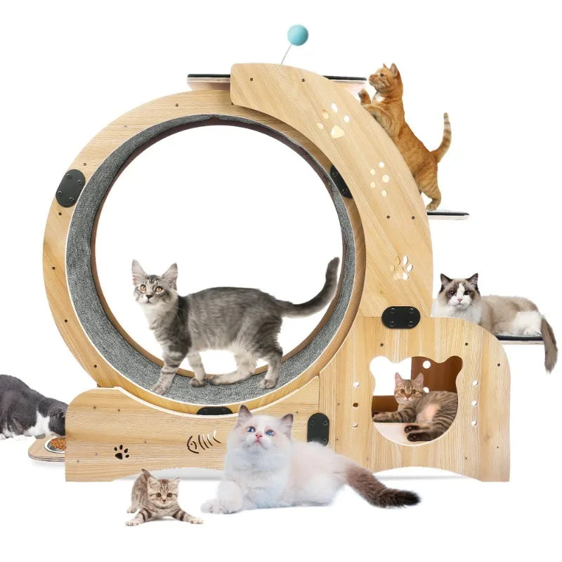 Wooden cat fitness wheel, cat running and walking wheel indoor cat furniture ,cat toys pet fitness equipment