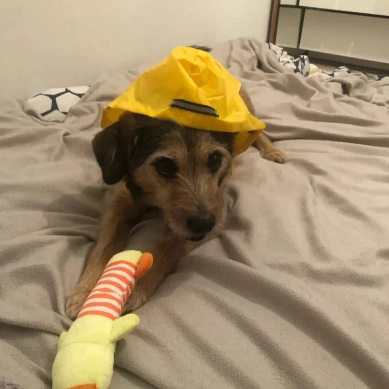 Dog Raincoat Jacket Clothes Reflective Waterproof Rain Poncho Outdoor Rainwear Costume Pet Supplies Artículos Para Mascotas