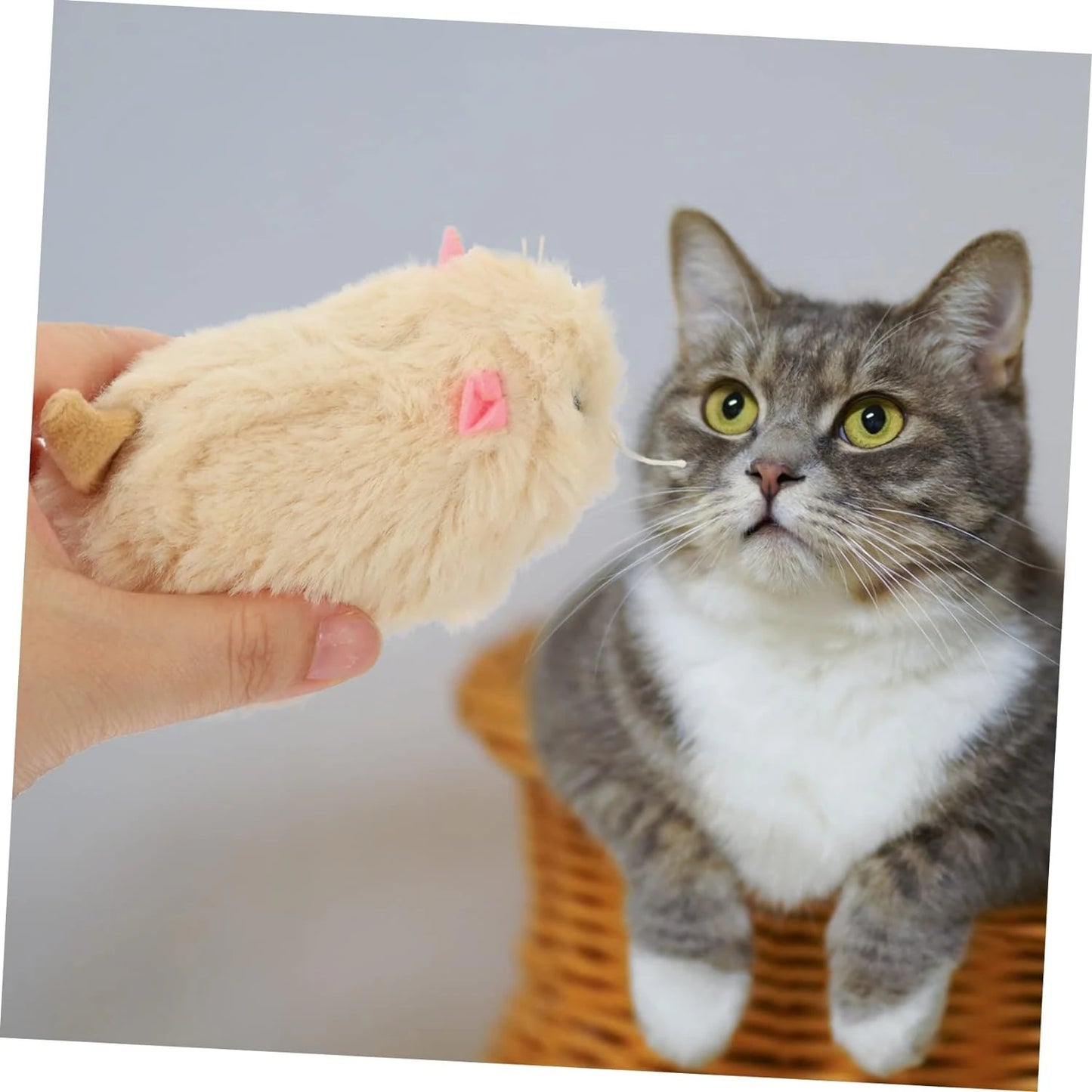 Soft and Exciting Plush Rabbit Cat Toy - Stimulating Indoor Mini Sports Ball for Cats, Dogs, and Children - Fun Interactive Ride