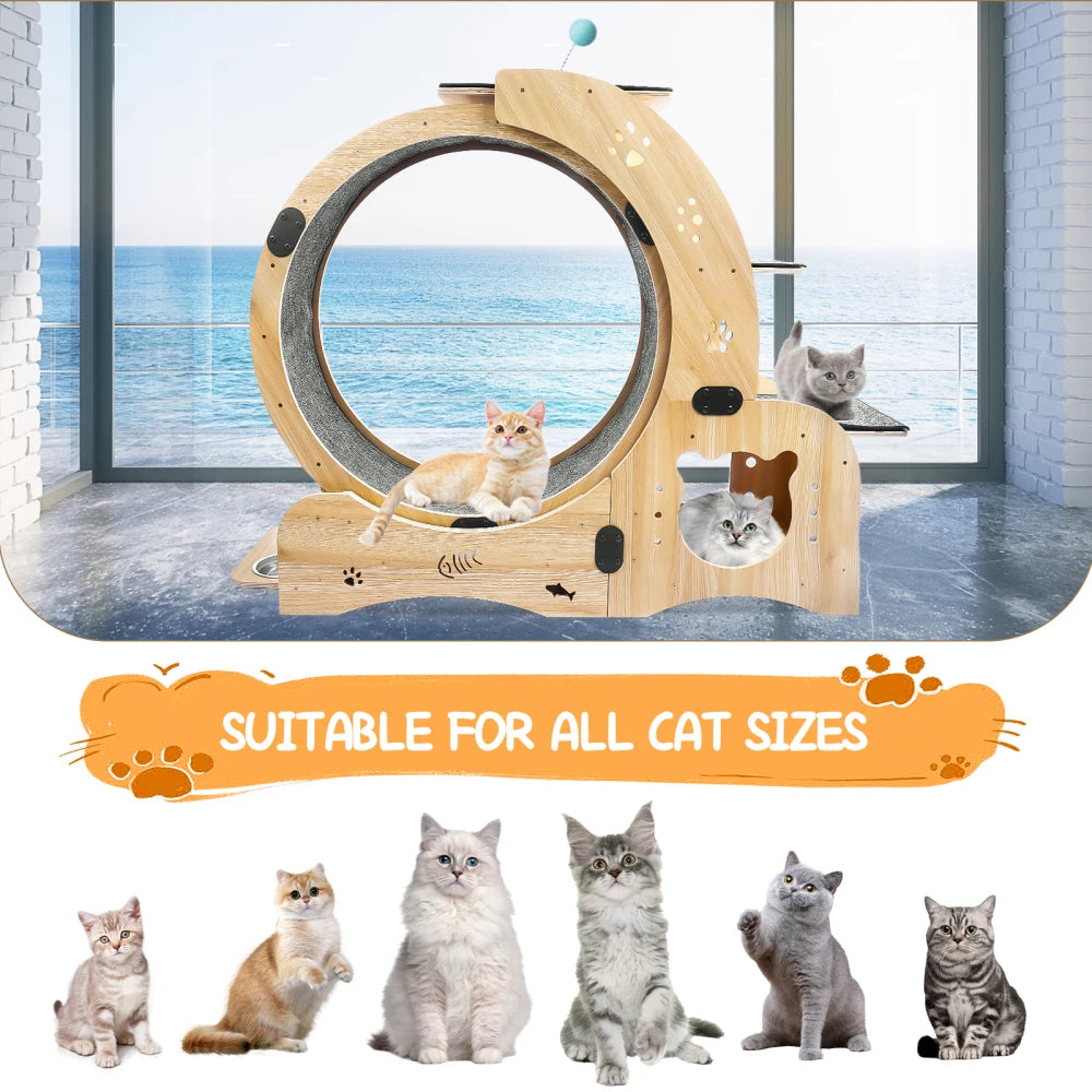 Wooden cat fitness wheel, cat running and walking wheel indoor cat furniture ,cat toys pet fitness equipment
