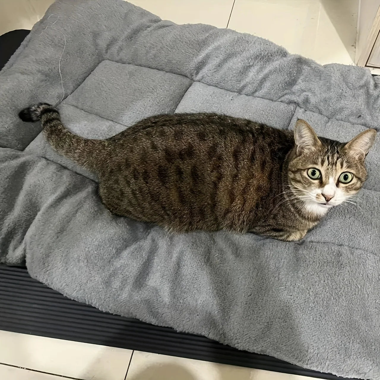Oversized Plush Dog Cat Bed ,Sofa Crate Pad, Ultra Soft Polyester Pet Mat for All Size Cats Dogs, Adorable Rectangle Couch